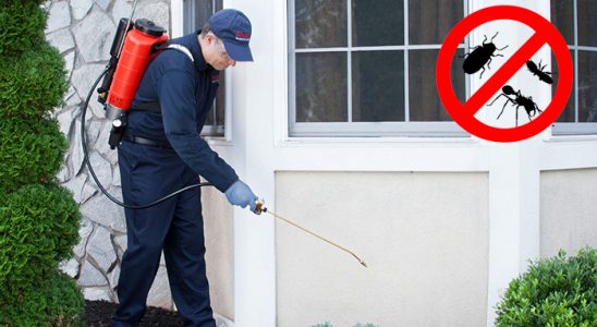Tavşanlı Hamam Böceği İlaçlama böcek ilaçlama ve haşere kontrolü — ilaclama-tr.com